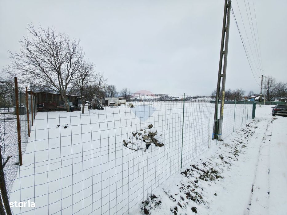 Teren 325mp Dobreni / Strada LASCAR CATARGIU