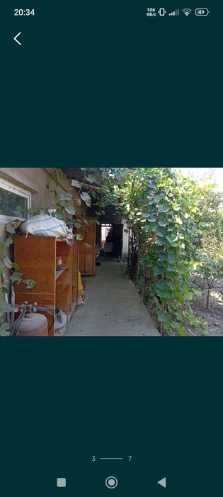 Уй учасика, Юқори чирчиқ