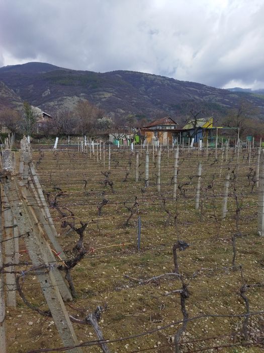 Продава се Земеделски имот в Сопот -  кв.м за 13 €/дка - Снимка #5