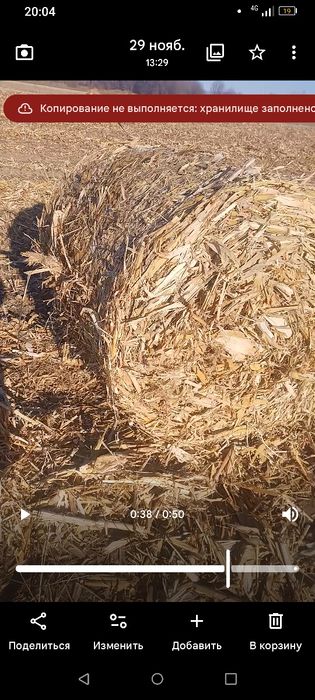 Продам кукурузу в рулонах