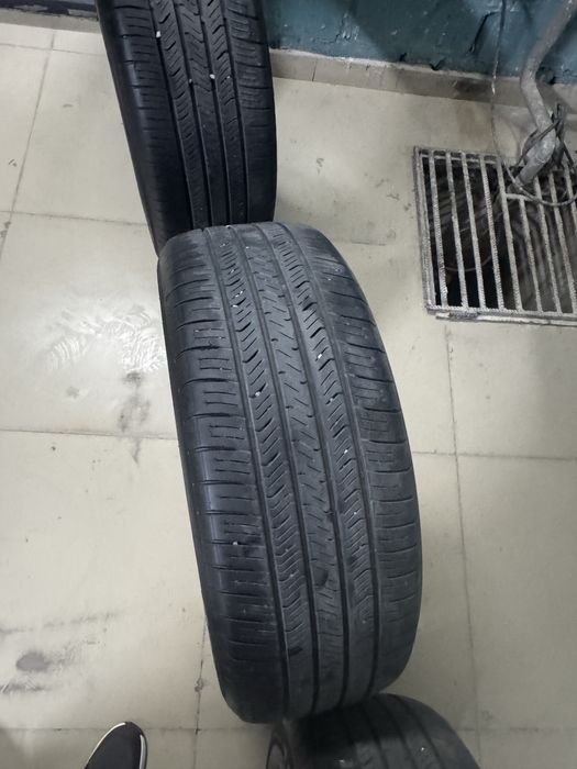 Шины Toyo сатылады