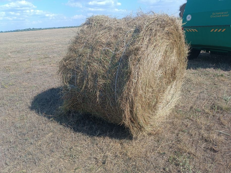 Продается сено в рулонах