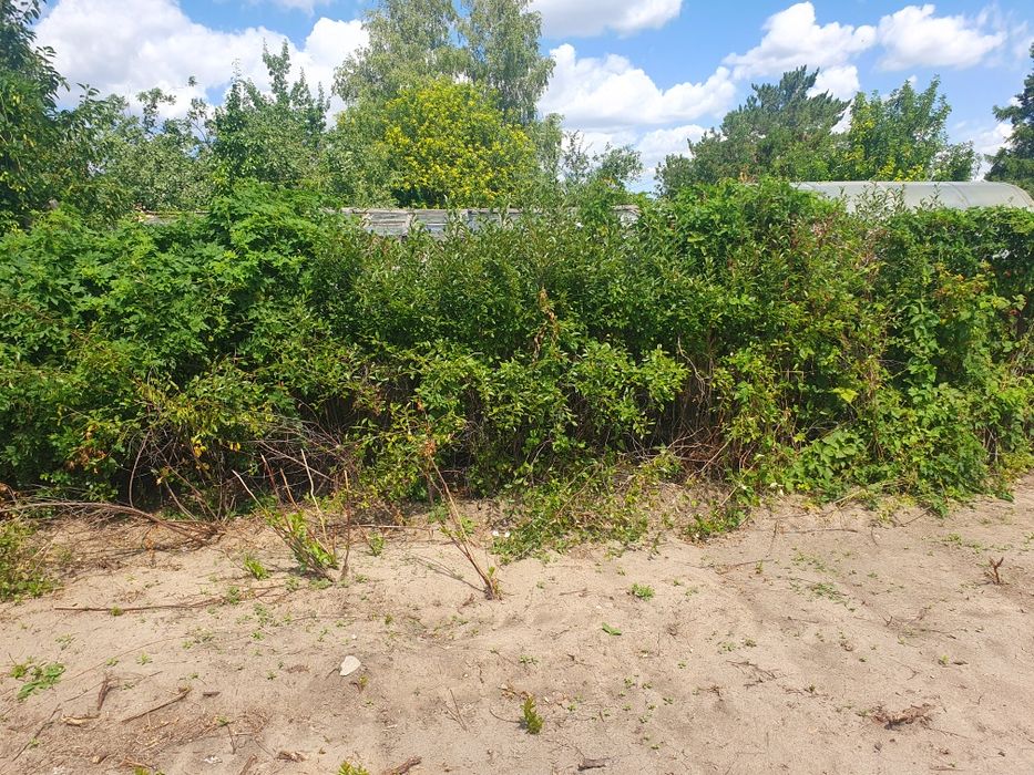 Продам дачи в С/О" Машиностроитель"