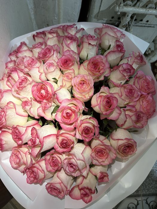 Цветы 51 роза розовые