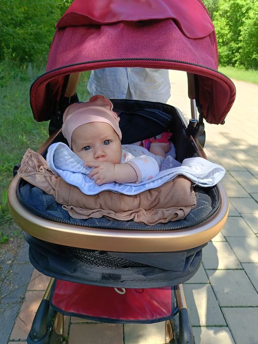 Коляска 2 в 1 Amilie