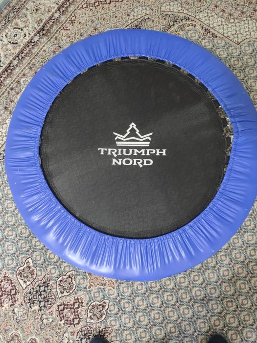 Батут детский TRIUMPH NORD