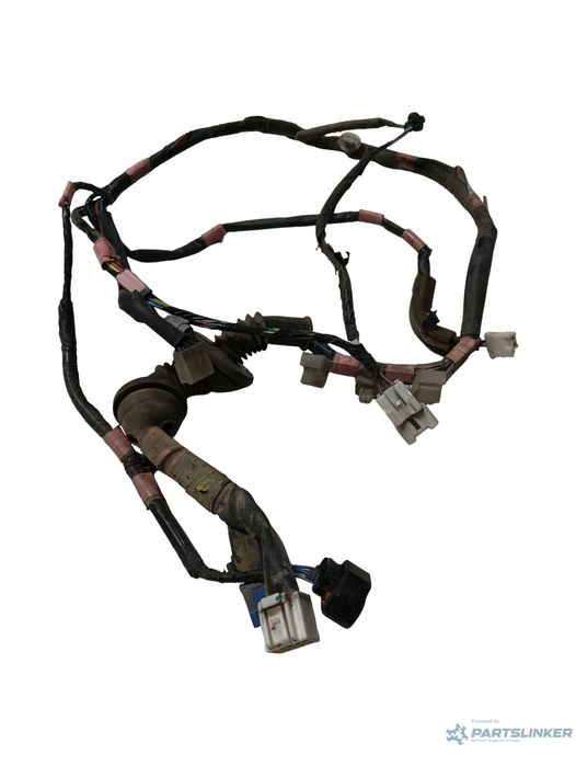 Instalatie Electrica Usa Dreapta Fata Toyota Land Cruiser 90 _J9_ 199