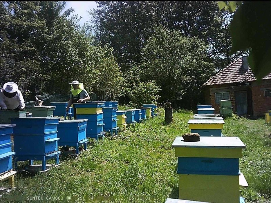 Продава се Къща в Исперих - 1151 кв.м за 10 €/кв.м - Снимка #5