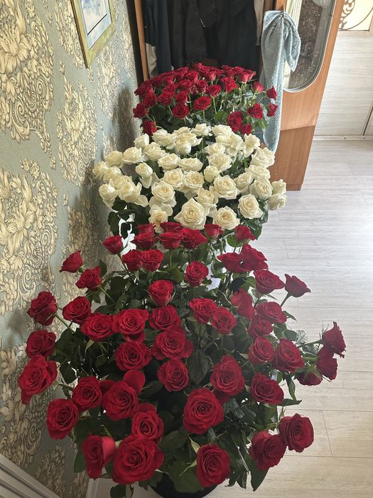 Гигант коробка гүл