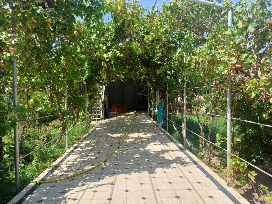 Uy (hovli) sotiladi