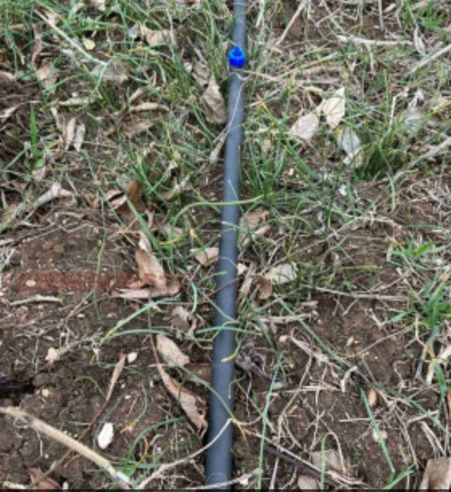 Продава се Земеделски имот в Перущица -  кв.м за 4857 €/дка - Снимка #9