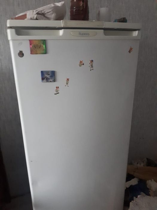 Холодильник бирюса