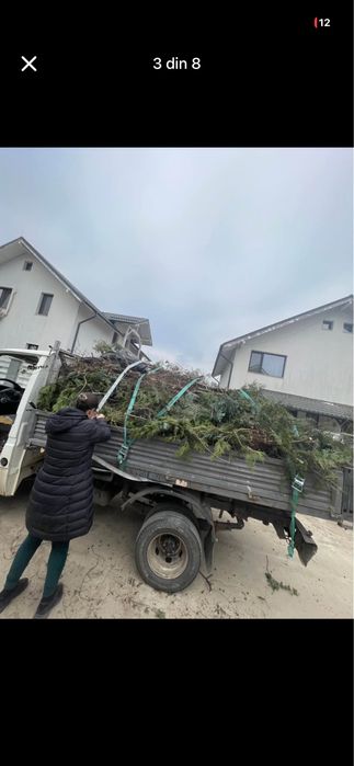 Transport resturi vegetale