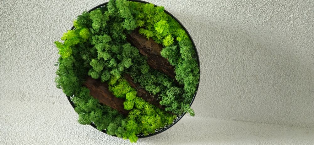 Картини със скандинавски мъх