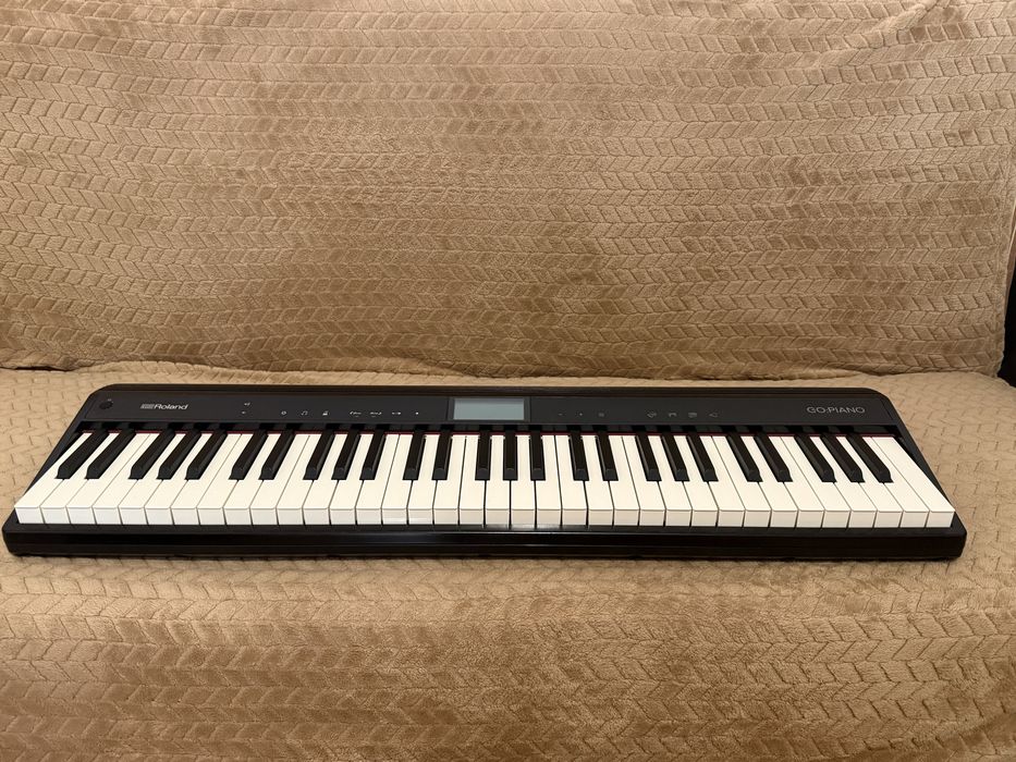 Roland Go Piano