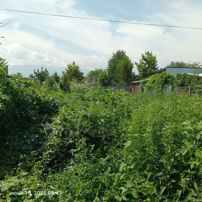 Участок отличный участок