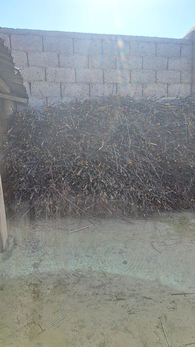 Отын, шақ дөңке 2 машина