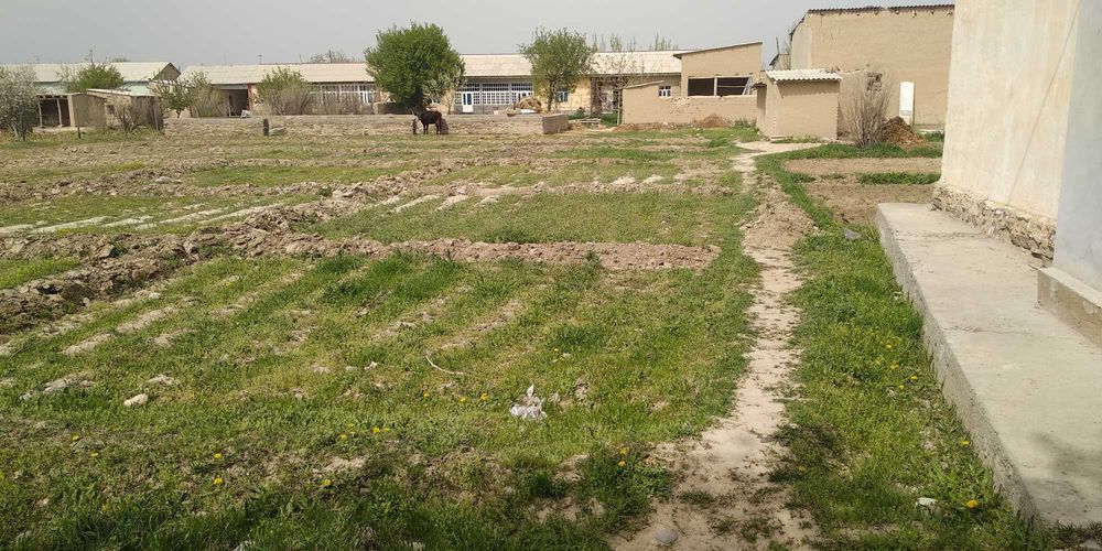 Учаска тозза фундаменти бор 14 сотих боги бор