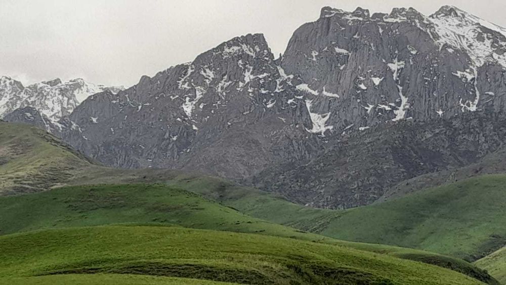 Срочно продается фазенда