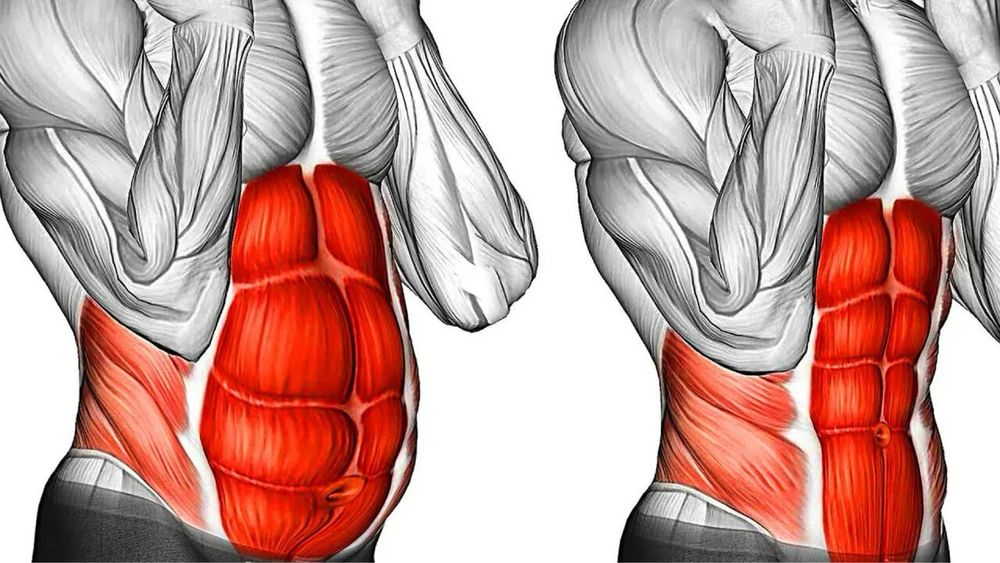 Тренажёр для пресса AB Rocket + эспандеры