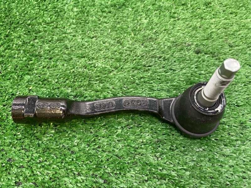 Рулевой наконечник лев.