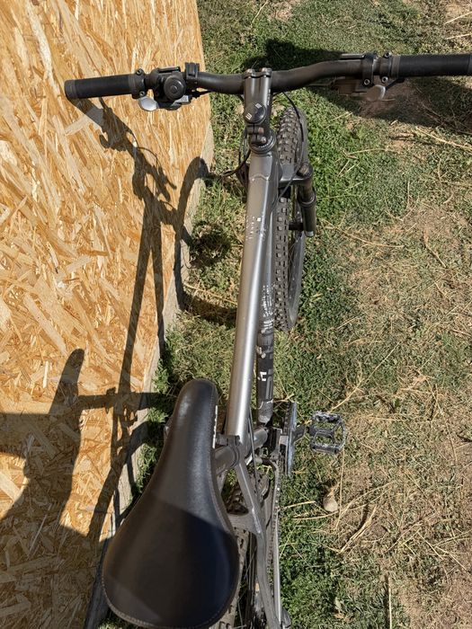 mtb Bulls  Bulls