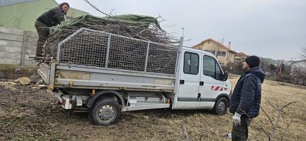 Servicii de curățare terenuri -defrisari toaletari