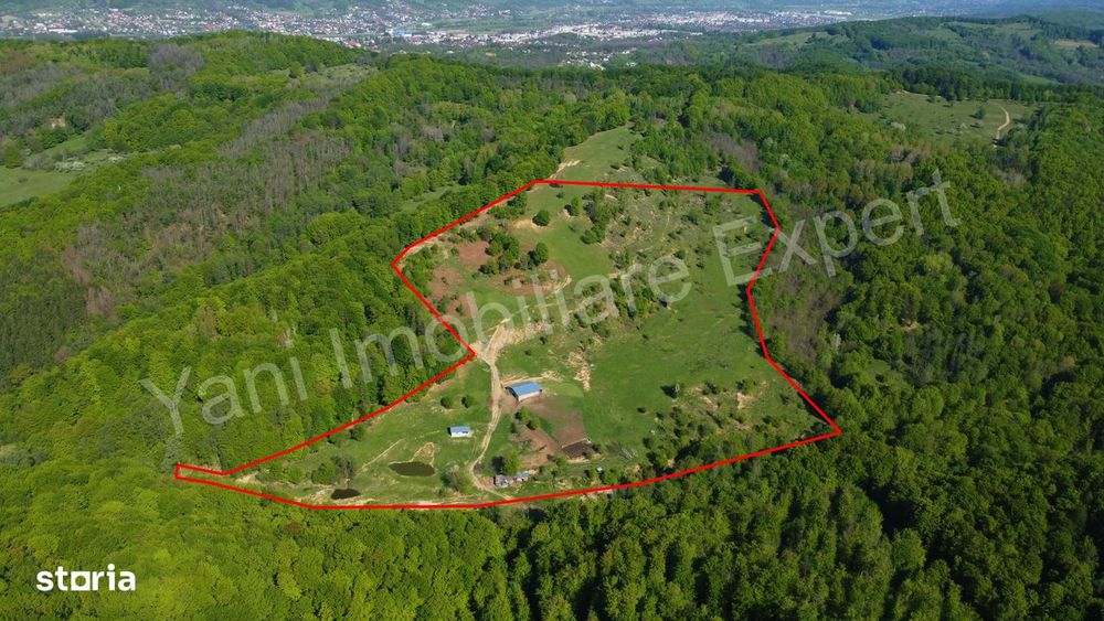 Teren cu stană de vânzare în apropiere de Curtea de Argeș.
