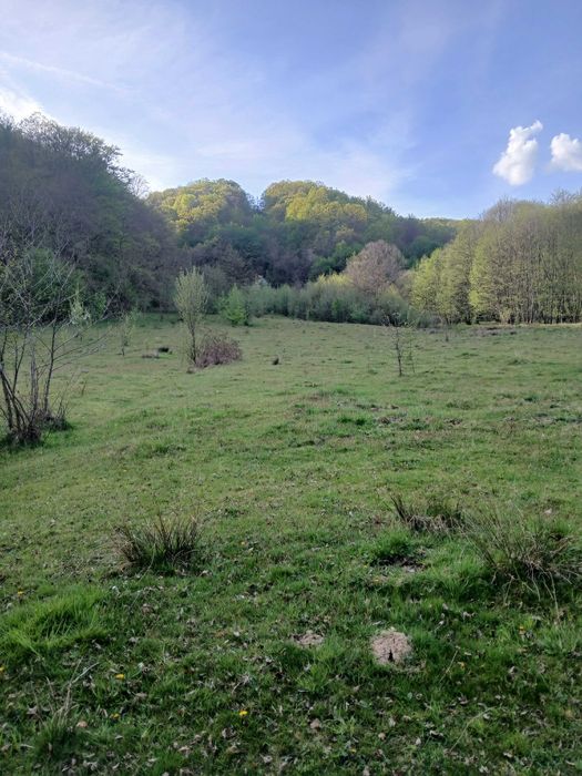 Teren Cetea  cabana casa vacanta
