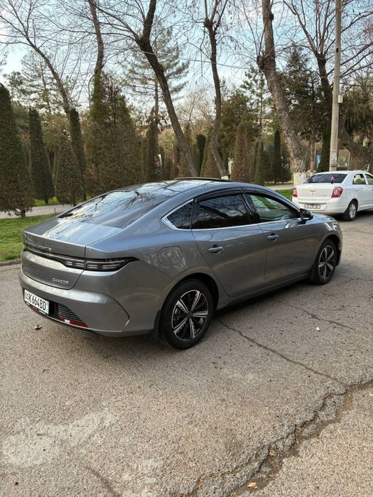 BYD Chazor Flag Ship. Full.