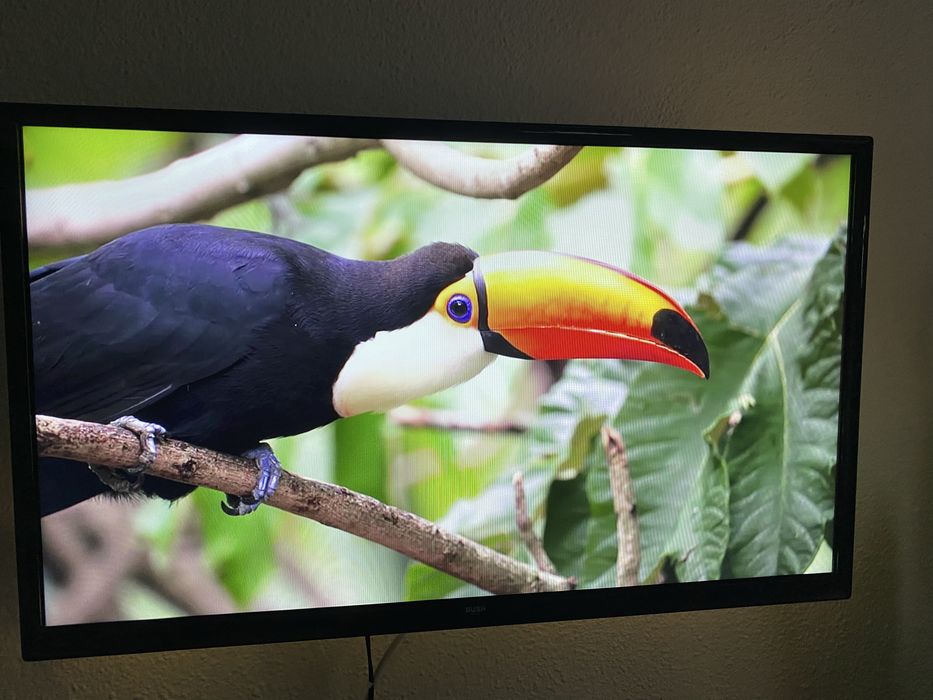 Smart TV BUSH 80 cm