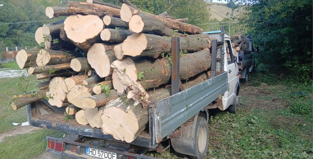 Lemn de foc !! Tot judetul !!