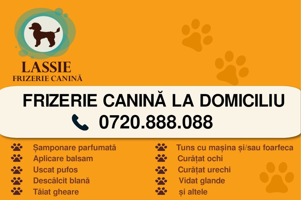 Frizerie canina la domiciliu / tuns catei / tund caini