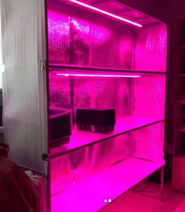 Фитостеллаж продаю