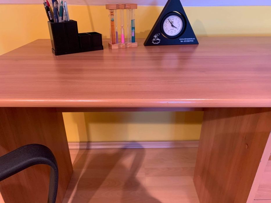 Vand birou si scaun din piele