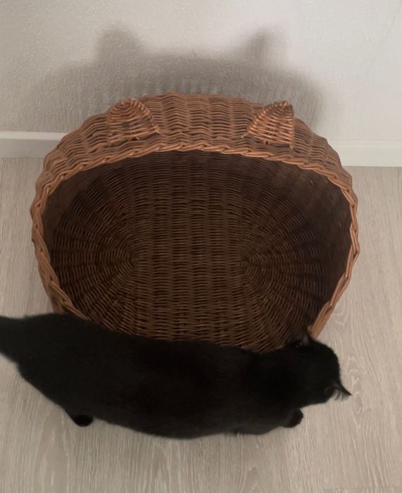 Лежанка для кошек и собак