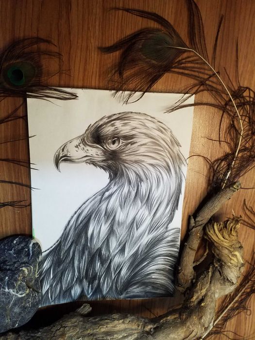 Преподаватель  / учитель / педагог  по рисованию и живописи