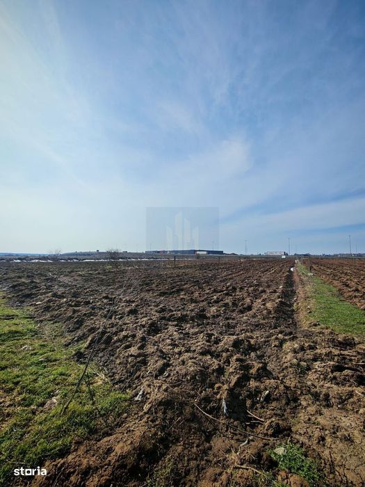 Teren de Vanzare Industrial Caciulati A3