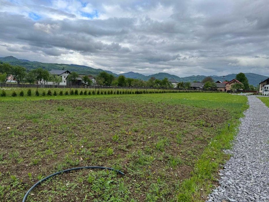 VAND URGENT TEREN INTRAVILAN in Viseu de Sus jud. Maramures