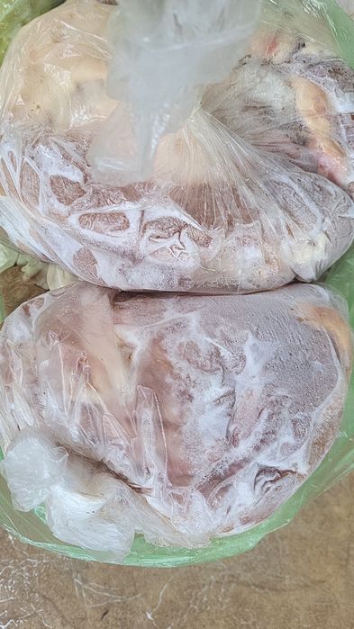 Жылкынын шеги , казы