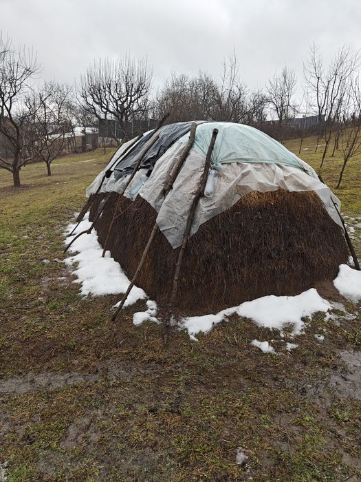 Fân de grădină 2025