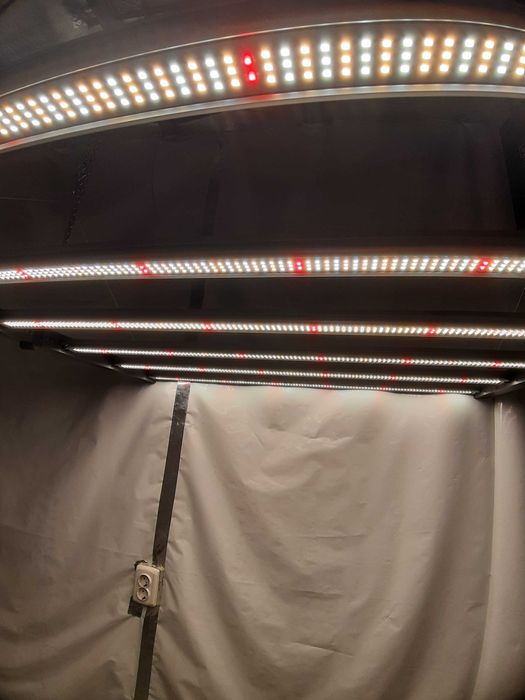 Lumii Black 720w led grow light