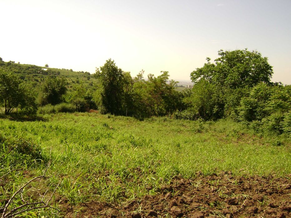 Teren intravilan Tohani/ parcelabil/ utilități / preț negociabil