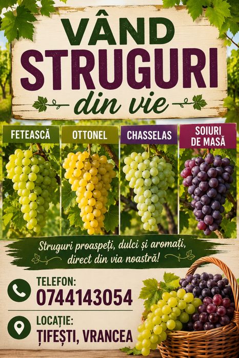Struguri en-gros