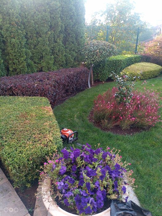 ОЗЕЛЕНЯВАНЕ, поддръжка