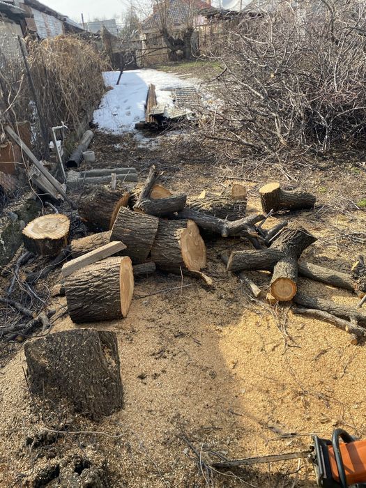 Спил деревьев и Обрезка