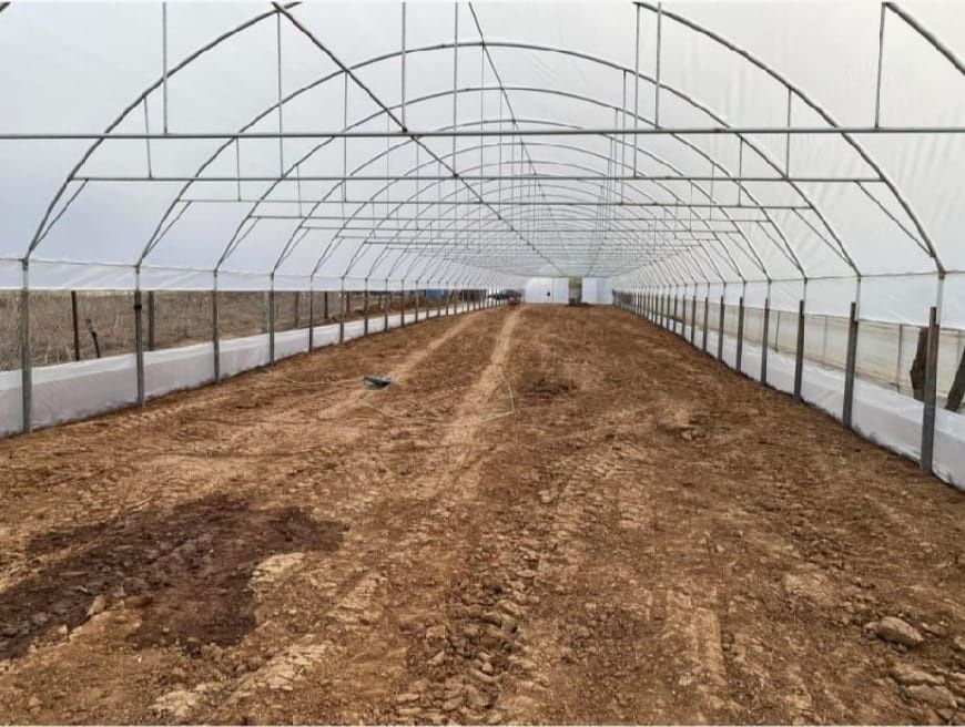 Sere solare arcade livrare la domiciliul dumnevoastra