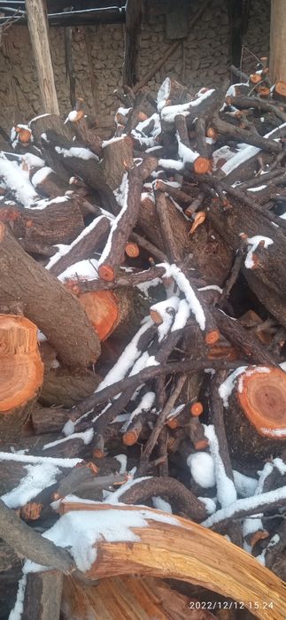 Oʻrik oʻtin sotiladi kelishilgan holda