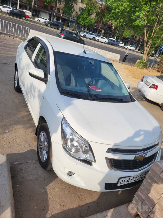 Cobalt LTZ 2024 Yangi