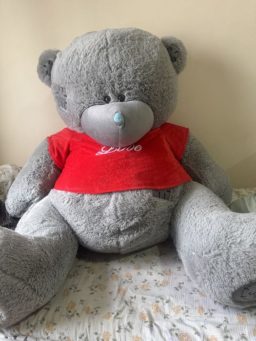 Teddy , kelishiladi yangi hali ko'p bo'lmadi olinganiga